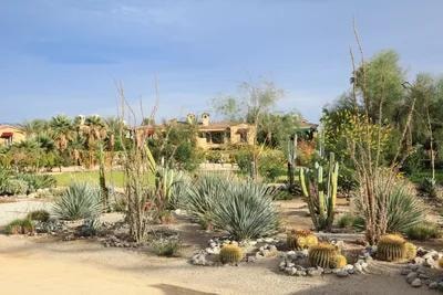 Professional landscaping services